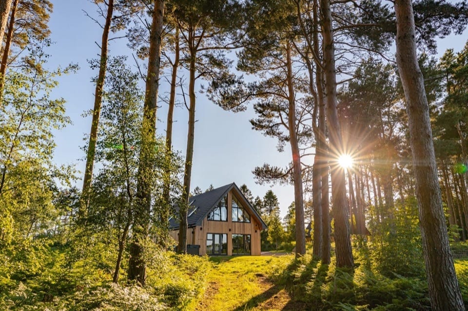 Newland Lodges — Walkthrough